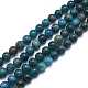 Natural Apatite Beads Strands X-G-F591-01-6mm-1