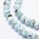 Natural Larimar Beads Strands G-K256-57B-3