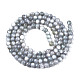 Eau douce naturelle de coquillage perles brins X-BSHE-T009A-01K-2