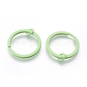 Железные брелоки с краской IFIN-L038-02-FF