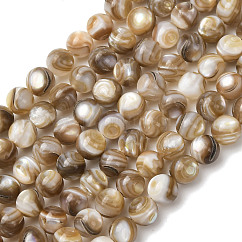 Hebras naturales de cuentas de concha de agua dulce, redondo, liso, camello, 6mm, agujero: 0.7 mm, aproximamente 66 pcs / cadena, 14.96'' (38 cm)
