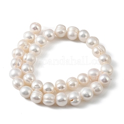 Нити из натурального культивированного пресноводного жемчуга&nbsp;PEAR-L034-18D