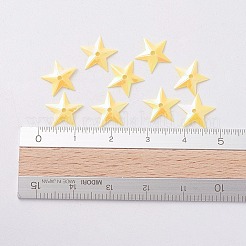 Accessori ornamentali paillette / paillettes in plastica&nbsp;X-PVC-E001-05-RC01