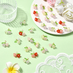 50 шт. двухцветные акриловые подвески&nbsp;FIND-SC0019-74