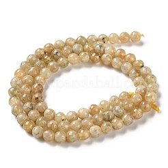 Бусины из натурального желтого граната&nbsp;G-Z129-C01-5mm-01