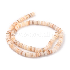 Shell perle naturali&nbsp;BSHE-B003-13B-02