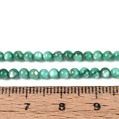 Eau douce naturelle de coquillage perles brins&nbsp;BSHE-T009A-01J