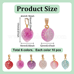 60шт 6 цвета двухцветные прозрачные стеклянные подвески&nbsp;GLAA-HY0001-47