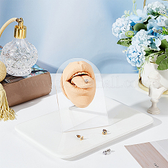 Display del corpo del modello flessibile in silicone morbido con supporti in acrilico&nbsp;ODIS-WH0026-06A