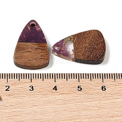 Pendentifs en résine & en bois&nbsp;WOOD-S061-02I