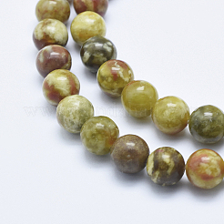 Serpentine naturelle perles de jade brins&nbsp;G-P353-06-10mm