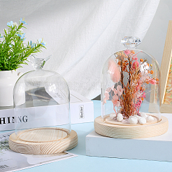 1 шт. стеклянный купол&nbsp;AJEW-SC0002-61B