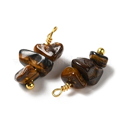 Природных тигровый глаз подвески&nbsp;KK-P242-31G-05