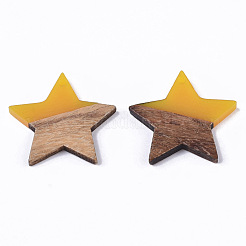 Pendentifs en résine et bois transparent&nbsp;X-RESI-T023-23-B02