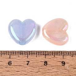 Leuchtende&nbsp;OACR-Q204-20