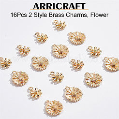 16шт 2 стильные латунные подвески&nbsp;KK-AR0002-43