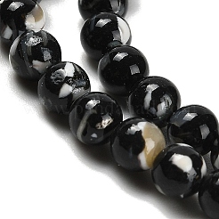 Собранные нити бусин из синтетического камня и ракушек трохус&nbsp;G-B128-08A-04