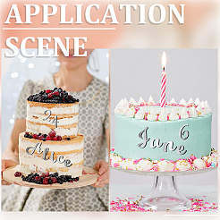 2 juego de insertos de acrílico para cupcakes con efecto espejo y temática de cumpleaños&nbsp;AJEW-SP0001-77B