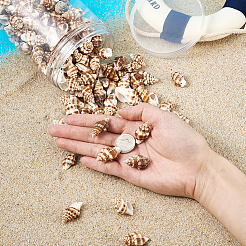 Спиральные подвески оболочки&nbsp;SSHEL-TA0001-02