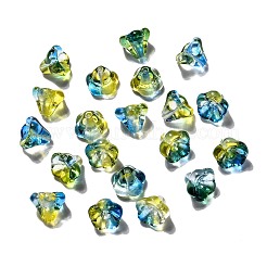 Perle di vetro ceche trasparenti&nbsp;GLAA-G070-05D-05