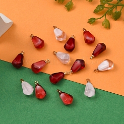 15шт 3 цвета подвески из смолы&nbsp;RESI-CJ0001-129