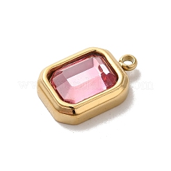 Подвески из стекла из нержавеющей стали 304&nbsp;X-STAS-L022-062G-06