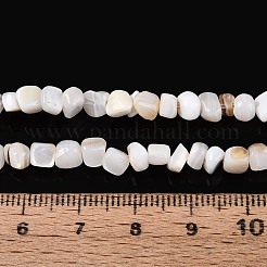 Natürlichen Süßwasser-Muschelperlen Stränge&nbsp;SHEL-N037-04K