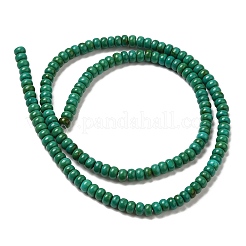 Fili di perline howlite naturale&nbsp;G-B049-C01-01B