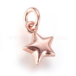 Эмаль латунные брелоки&nbsp;KK-G364-18