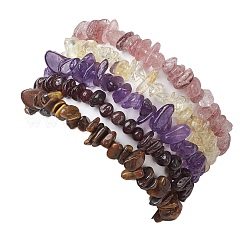 12 constellation de bracelets extensibles en perles de pierres précieuses mélangées naturelles pour femmes et hommes&nbsp;BJEW-JB10264-11