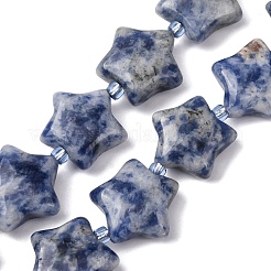 Natürliche blaue Fleck Jaspis Perlen Stränge&nbsp;G-K359-E11
