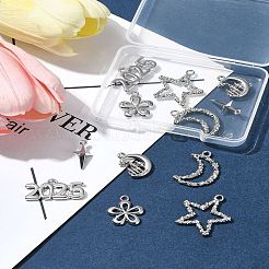 12 pièces 6 styles pendentifs en alliage&nbsp;FIND-FS0003-38P