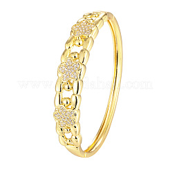 Bracciali rigidi aperti con cerniera&nbsp;WG289CD-01