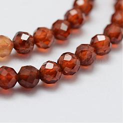 Granato naturale fili di perle&nbsp;G-G663-03-3mm