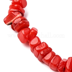 Braccialetti elastici in perline di conchiglie d'acqua dolce naturali tinte per uomo e donna&nbsp;BJEW-JB12477-01