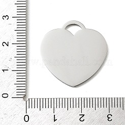 Colgantes de acero inoxidable 304 para San Valentín&nbsp;SA-E001-13P