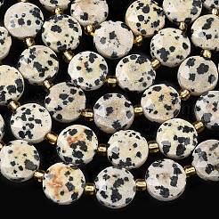 Природные яшмы далматин бисер нитей&nbsp;G-C116-A187-01