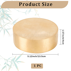 Латунное пресс-папье DJEW-WH20009-04G