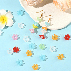 600 шт. матовые акриловые колпачки для бусин&nbsp;MACR-SC0002-46