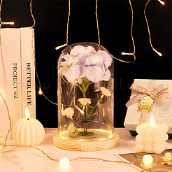 Стеклянный купол&nbsp;DJEW-WH0043-46