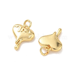 Messing Anhänger & Charms&nbsp;KK-E797-07B-G