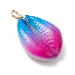 2 шт. подвески из натуральной ракушки каури&nbsp;PALLOY-JF04260