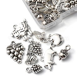 54 шт. 9 стильные подвески из сплава в тибетском стиле с фруктами&nbsp;TIBEP-FS0001-11