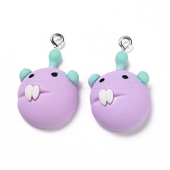 Подвески из непрозрачной смолы&nbsp;LS-RESI-G028-20P