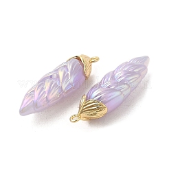 Подвески из смолы с радужным переливающимся покрытием&nbsp;LS-RESI-C047-03E-G