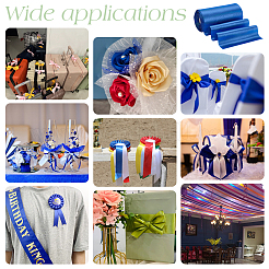 Полиэстер атласные ленты&nbsp;OCOR-WH0105-015A