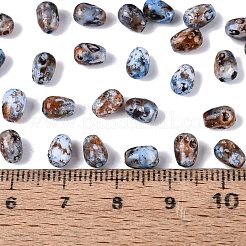 Picasso-Glasperlen&nbsp;SEED-N012-10N
