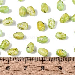 Perles de rocaille en verre picasso&nbsp;SEED-N012-10I