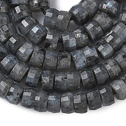 Натуральные нити бус из ларвикита&nbsp;G-A299-A04-01