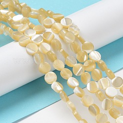 Нити бусин из натуральной ракушки трохус BSHE-P033-02